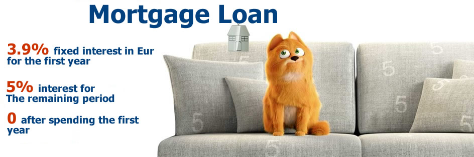 Mortgage Loan